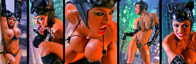 OVER 2 MILLION IMAGES AND 2000 VIDEOS FOR MEMBERS