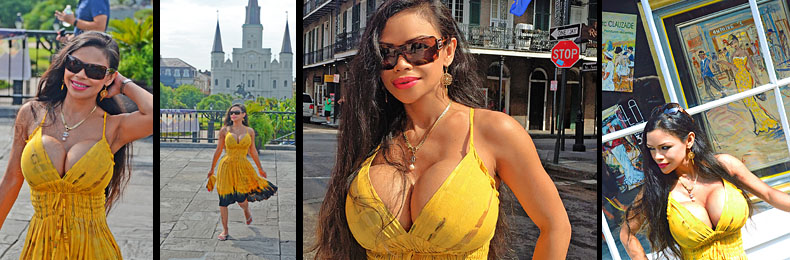 OVER 2 MILLION IMAGES AND 2000 VIDEOS FOR MEMBERS