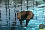 actiongirlssusanaspearsswim151.jpg