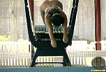actiongirlssusanaspearsswim183.jpg